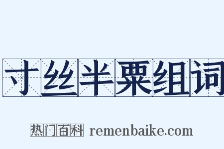 寸丝半粟组词是什么意思的图片